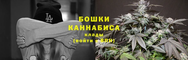 PSILOCYBIN Балахна