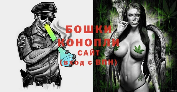 PSILOCYBIN Балахна