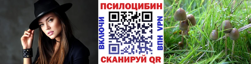 Галлюциногенные грибы мухоморы  хочу наркоту  Шлиссельбург 
